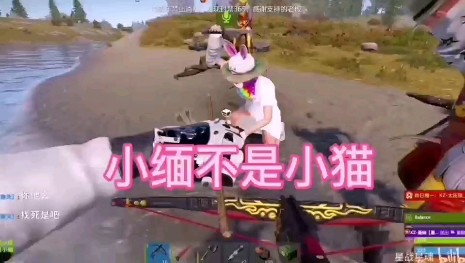 歌曲：小缅不是小猫